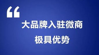 阿土伯網(wǎng)專業(yè)信息技術(shù)咨詢服務(wù)在長沙岳麓區(qū)熱賣促銷